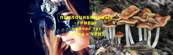 гашик Белокуриха