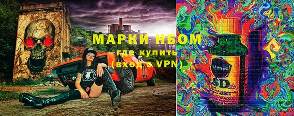 гашик Белокуриха