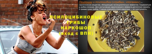 гашик Белокуриха