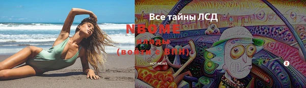 гашик Белокуриха