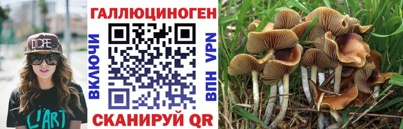 Галлюциногенные грибы GOLDEN TEACHER  Купить  Весьегонск 