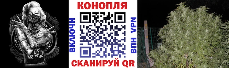 Купить где  Весьегонск  Бошки марихуана планчик 